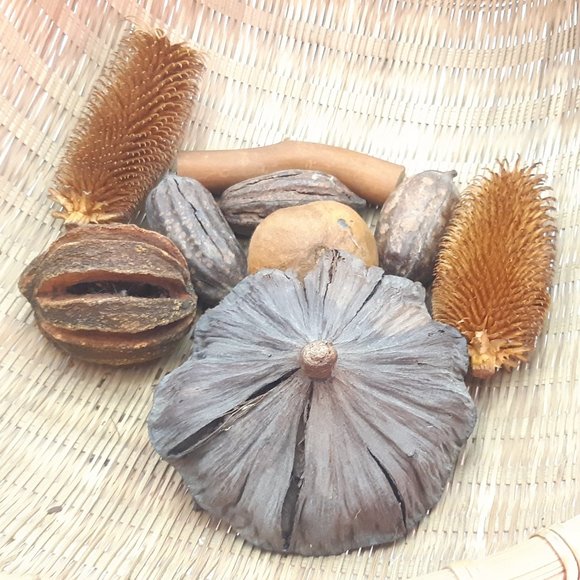 African Rattan Basket and Dried Display Objects - Picture 7 of 11